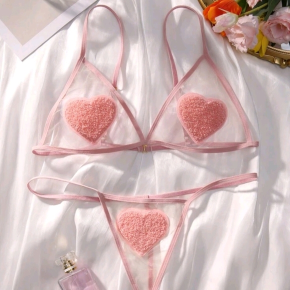 NWOT Pink Pastel Heart Sheer Panty Bra Lingerie Sexy G-string - Picture 1 of 5